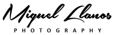 Logo_miguel_Llanos_black